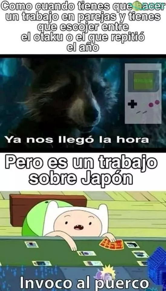 cual puerco