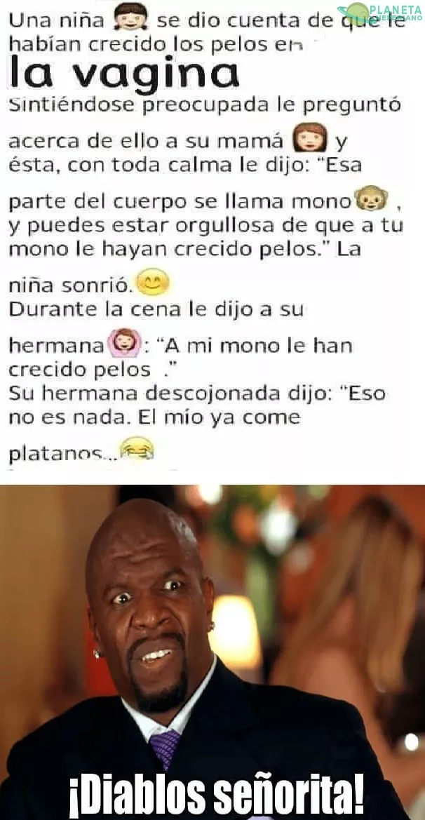 Buena analogía ( ͡° ͜ʖ ͡°)