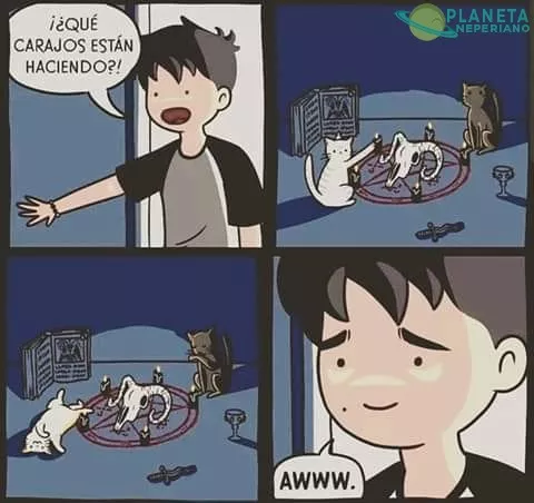 Cuando tus gatos son de Ulthar