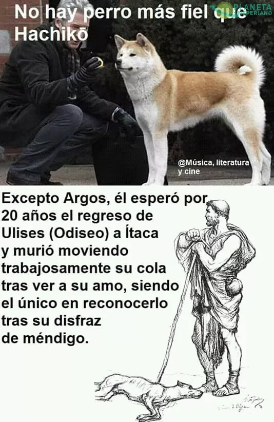 Se necesitarían 3 Hachikos para igualar a un Argos