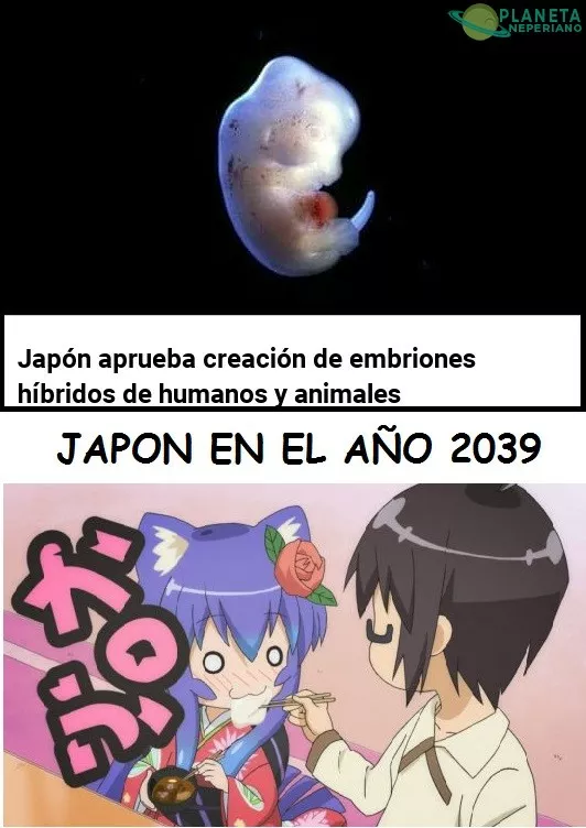 JAPÓN EN EL FUTURO