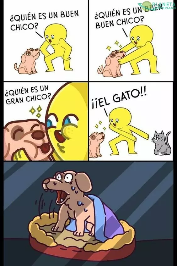 La peor pesadilla de un perro...