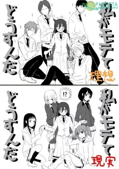 Tomoko ahora tiene un harem, pero no como lo esperaba 