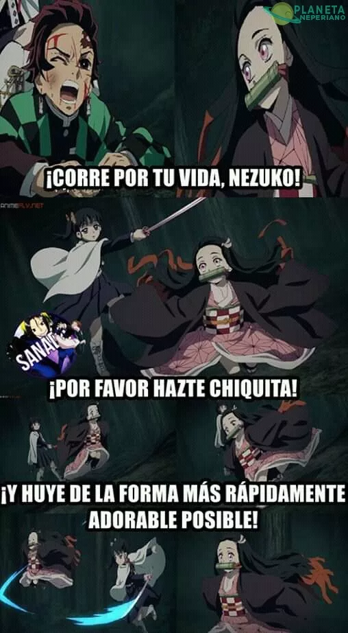 Todo lo que hace Nezuko es infecciosamente adorable