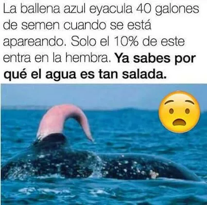 AHORA YA LO SABES......