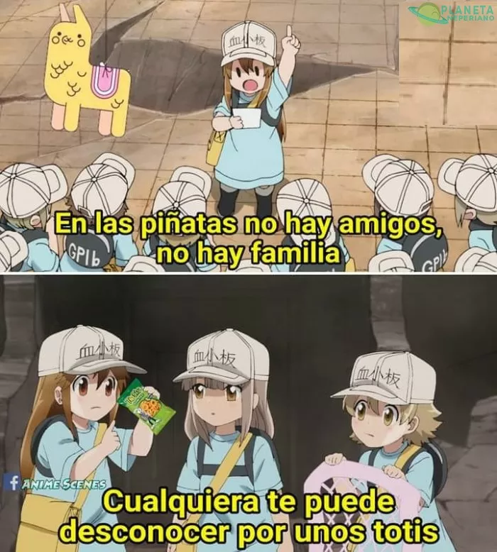 Asi es en todas las posadas y piñatas.