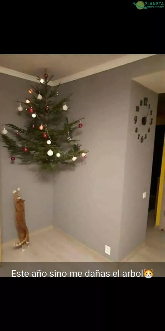 Está navidad no te llevaras el árbol por delante,  cochino gato