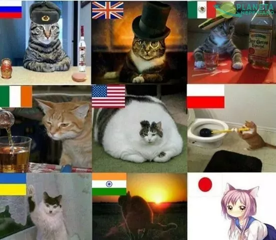 los gatos según sus países