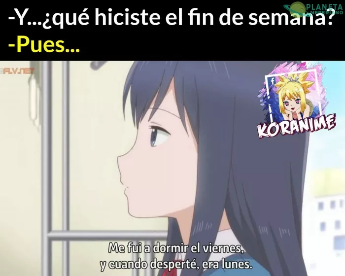Yo todo diciembre