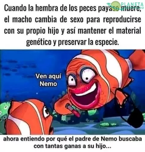 ¡JA!... Incesto marino