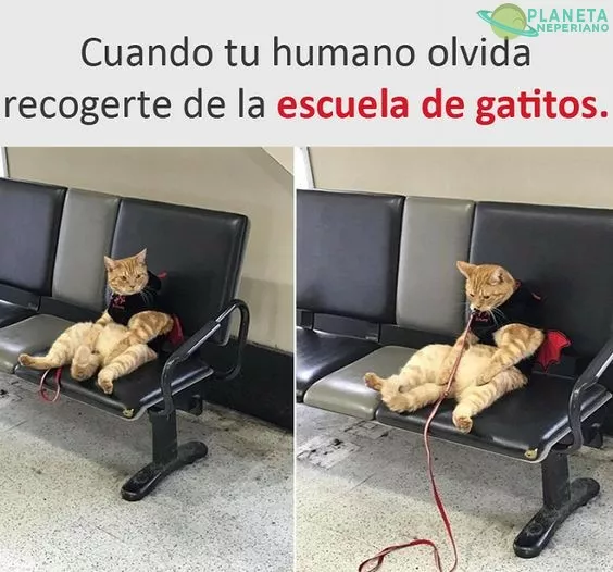 este mundo es demasiado cruel para nosotros