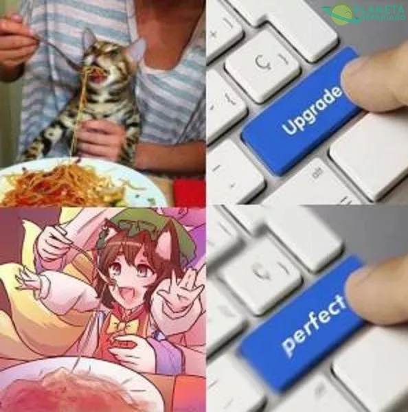 Upgrade perfecto