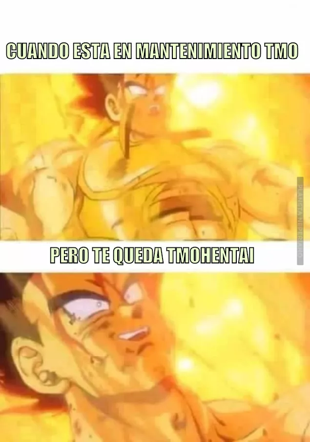 TODAVÍA QUEDA EL HENTAI!!