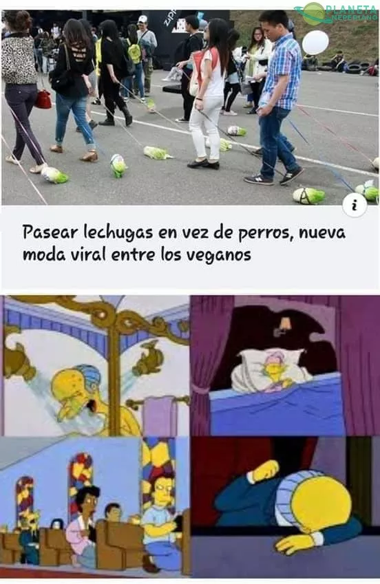 Si hubiera sido rocas lo entendería (porque tienen nervios de acero), esto supera la estupidez común