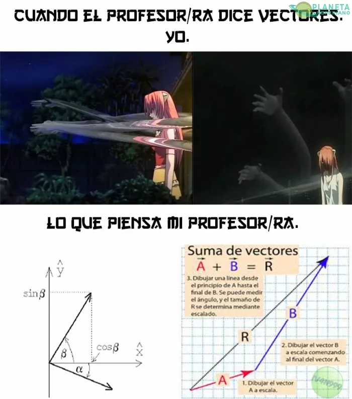 Así saque 20  en el examen de matemática :V