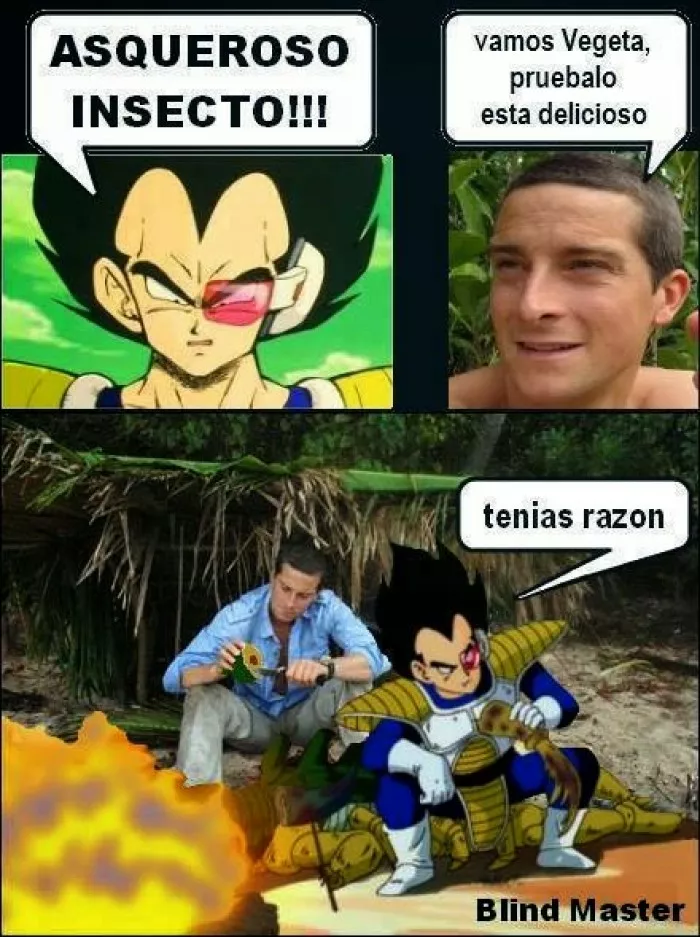 Vegeta esta 