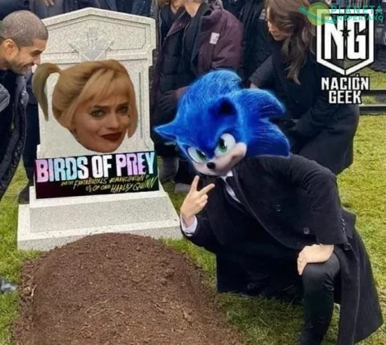 El erizo gano… bueno, su competencia tampoco era la gran cosa