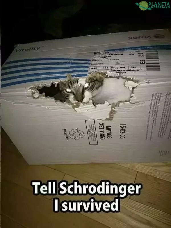 Run schrodinger, run...