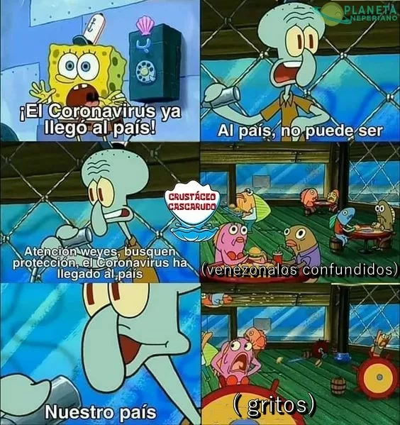 me encanta la velocidad de reacción de mi pais