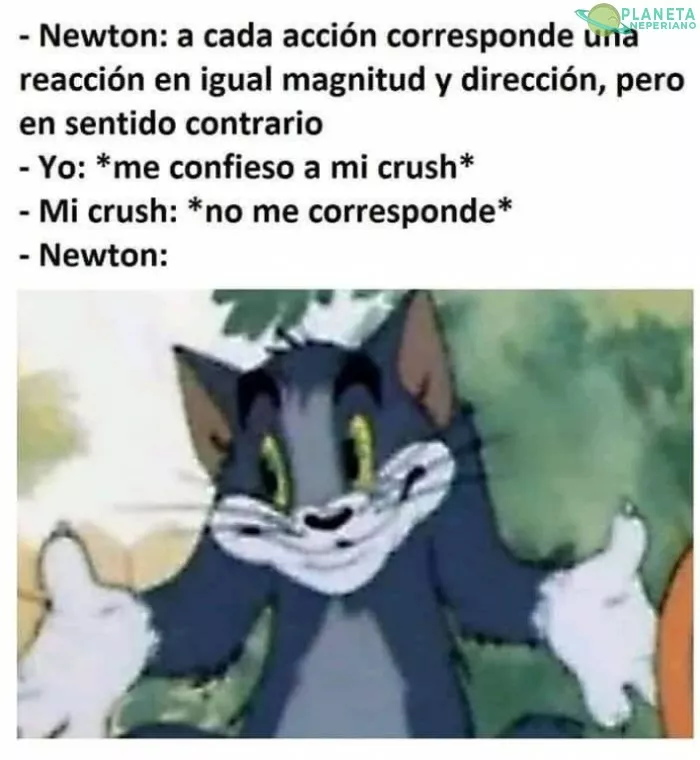 Pinche Newton