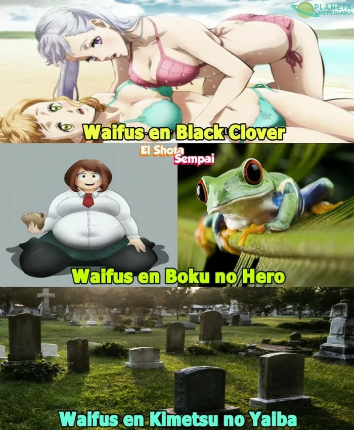 para algo tienen que servir no?