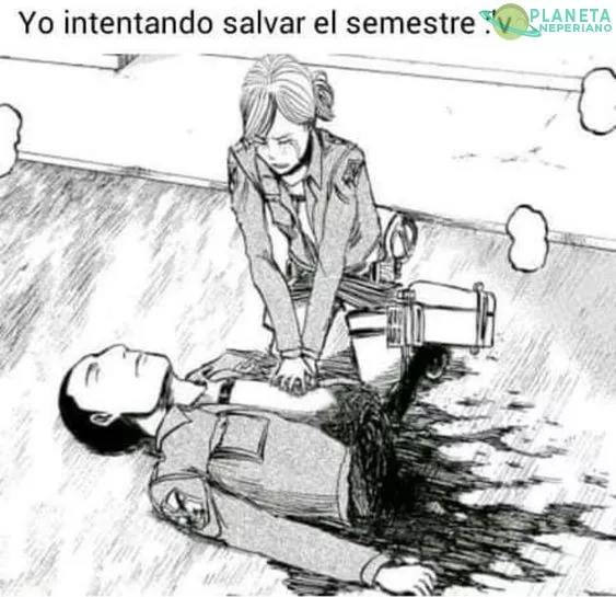 mi semestre