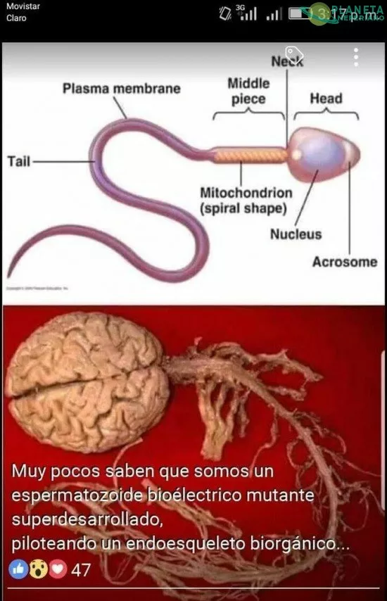 Suena muy system shock 2...