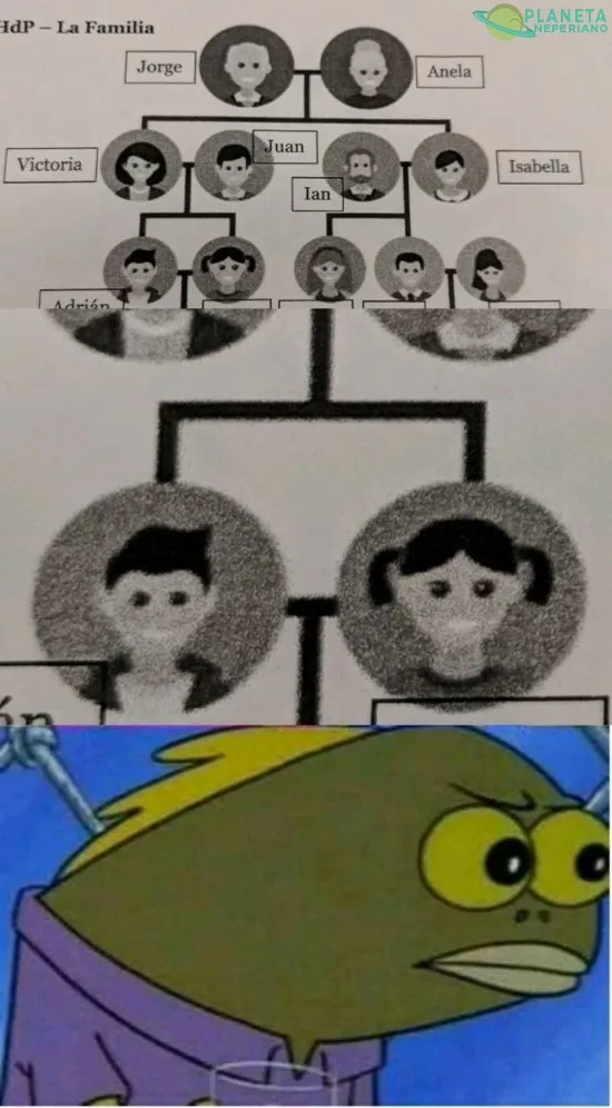 Hay un poco de arbol genealogico en su norte