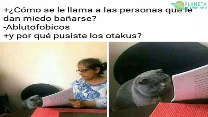 NMMS AJJAJJAJAJ