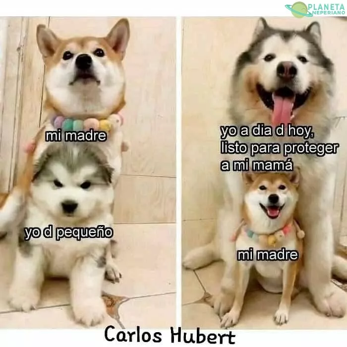 ahora  si en mi turno 