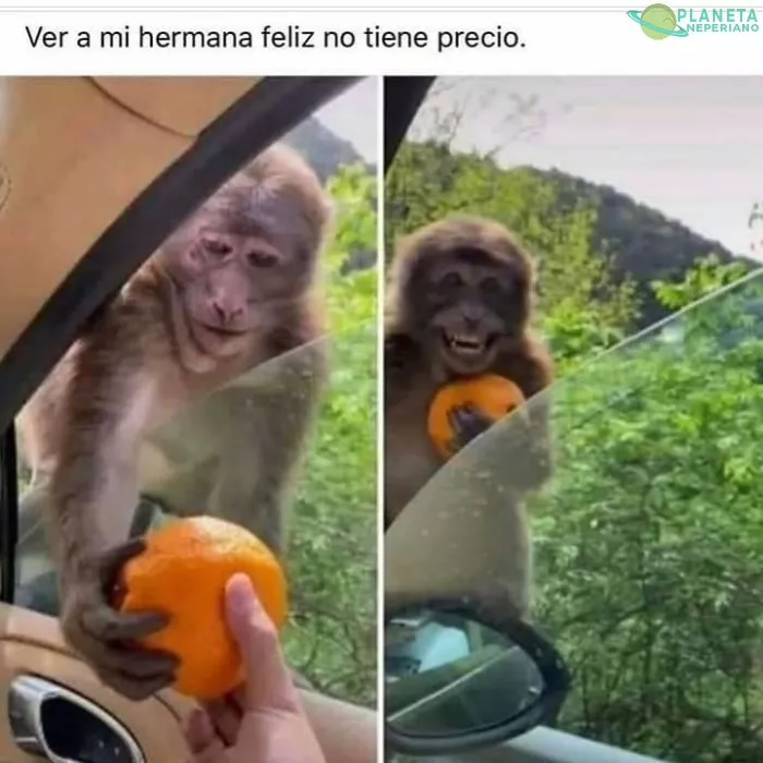 solo miralo