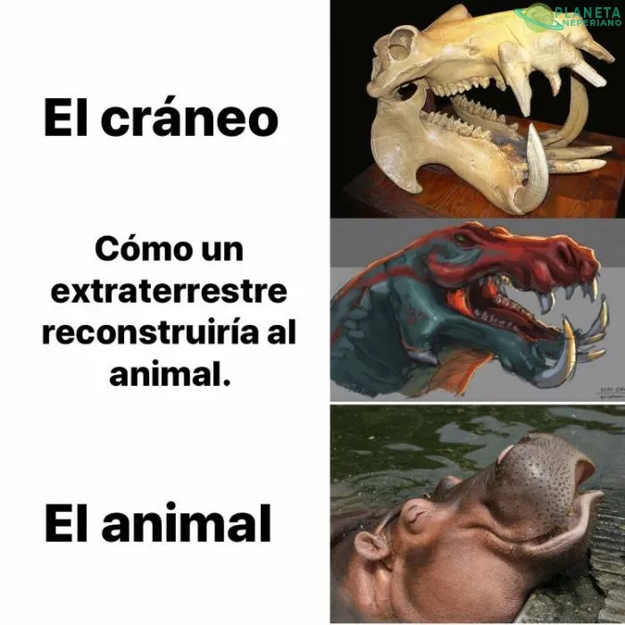 es por eso que talvez los dinosaurios no se veían como los representan ahora