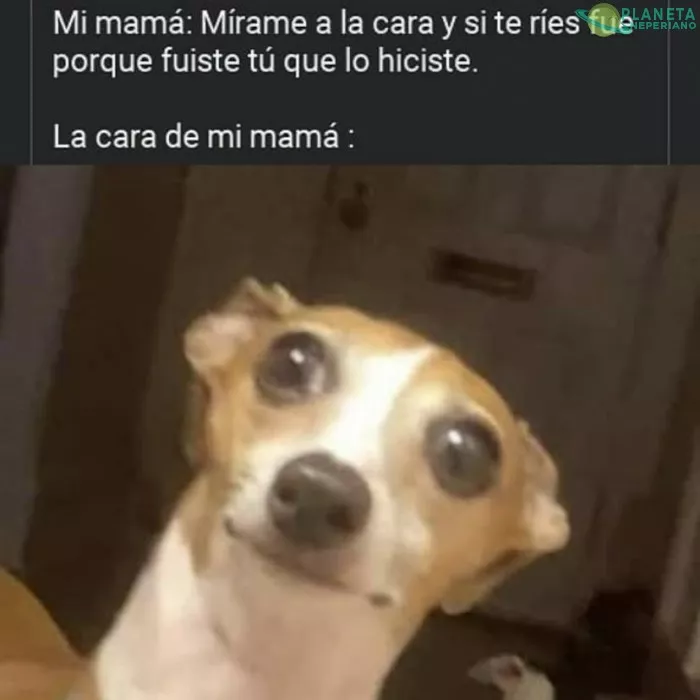 putiza asegurada si te ries :v