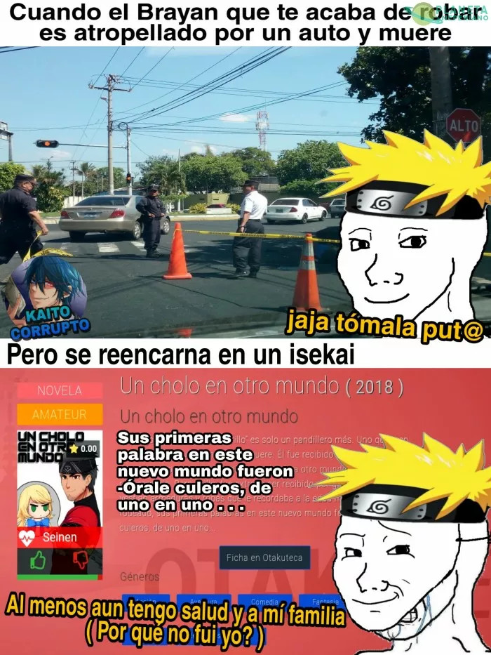 Por qué nada me mata?.jpg