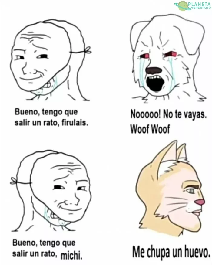 Diferencias entre perros y gatos