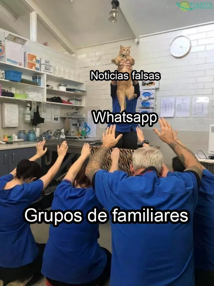 Whatsapp y las noticias falsas...