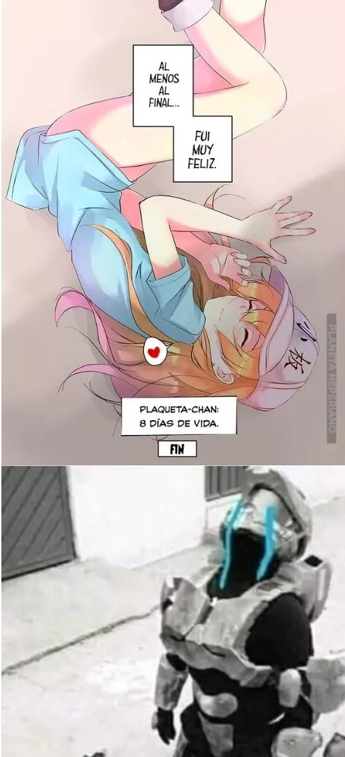 donde quedo lo lindo D':