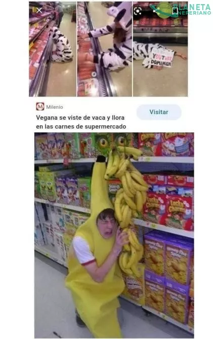 NADIE PIENSA EN LA VIDA DE LOS POBRES PLATANOS?