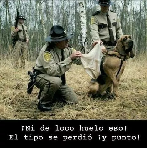 pobre perro....