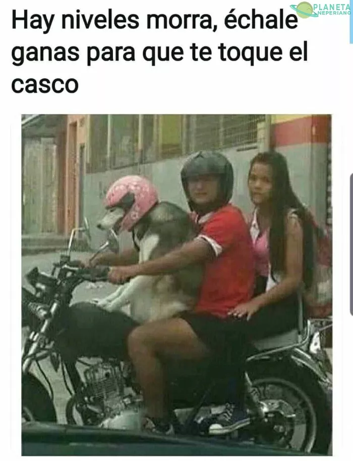 Prioridades