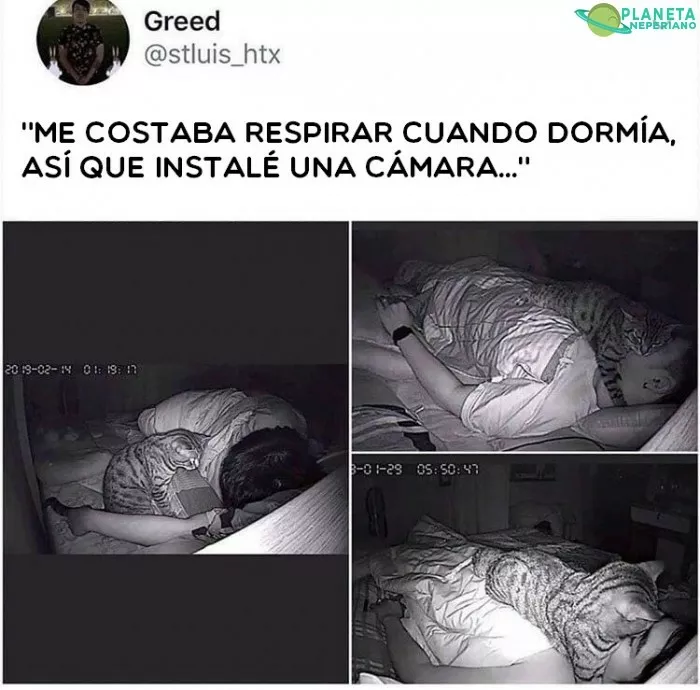 eso explica muchas cosas