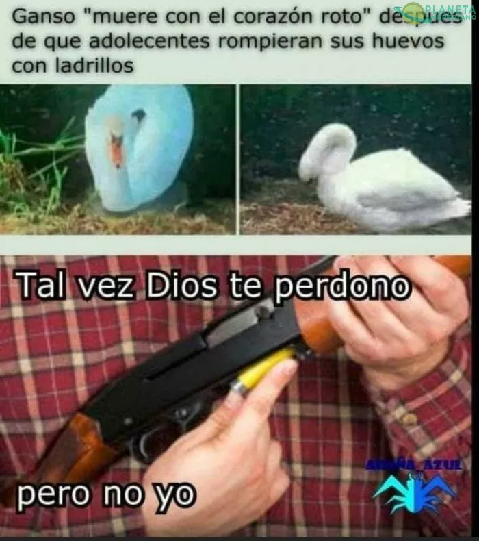 Ni dios los perdona