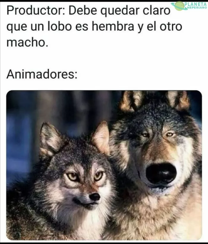 SON MUY DISCRETOS