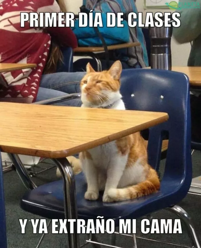 Todos al terminar la cuarentena