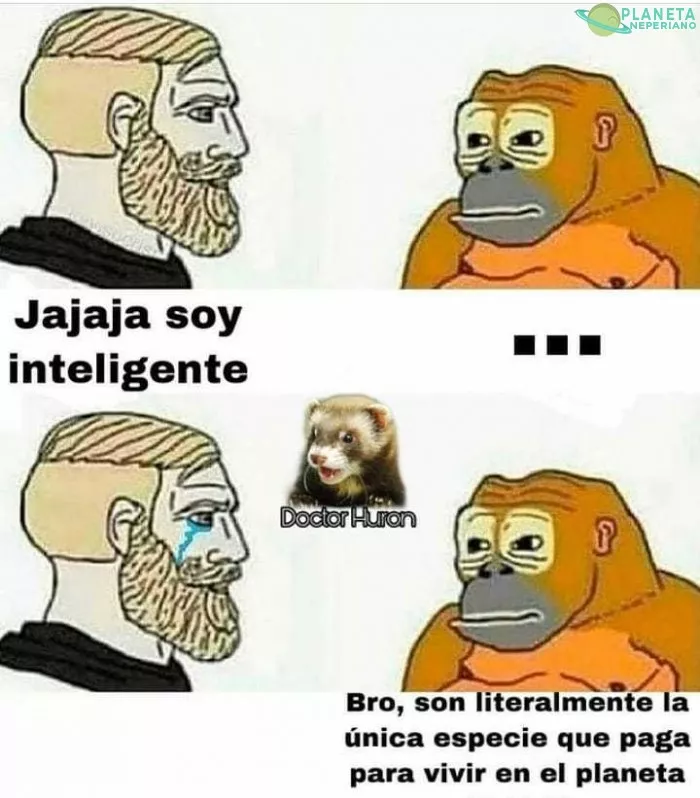 Somos tan estupidos