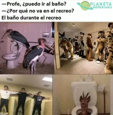 Que haces ahí vuelve aquí ahora 