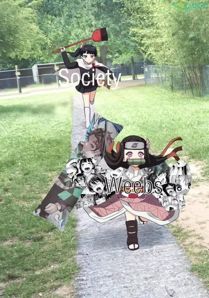 Sociedad & weebs