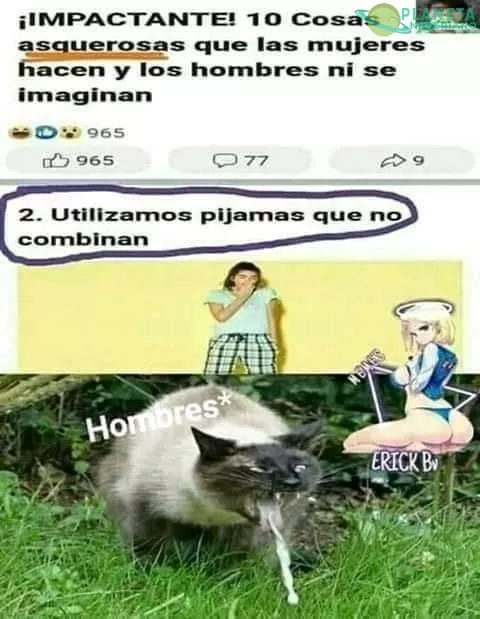 NO MAMES QUE ASCO