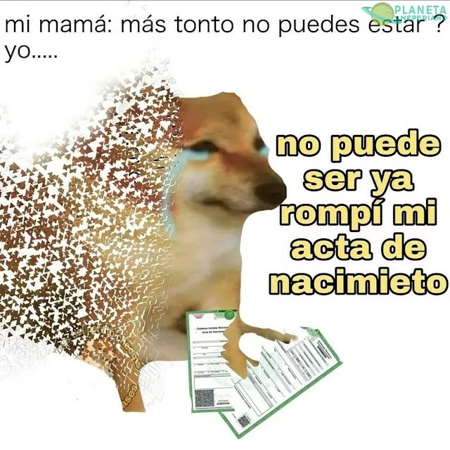 ayuda no se que hacer con mi vida T-T