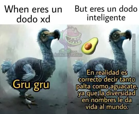 Gru perseaamericana Gru